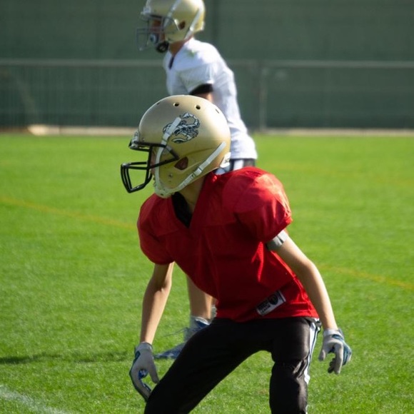 Meet your Posher, Benjamin - Picture 1 of 1